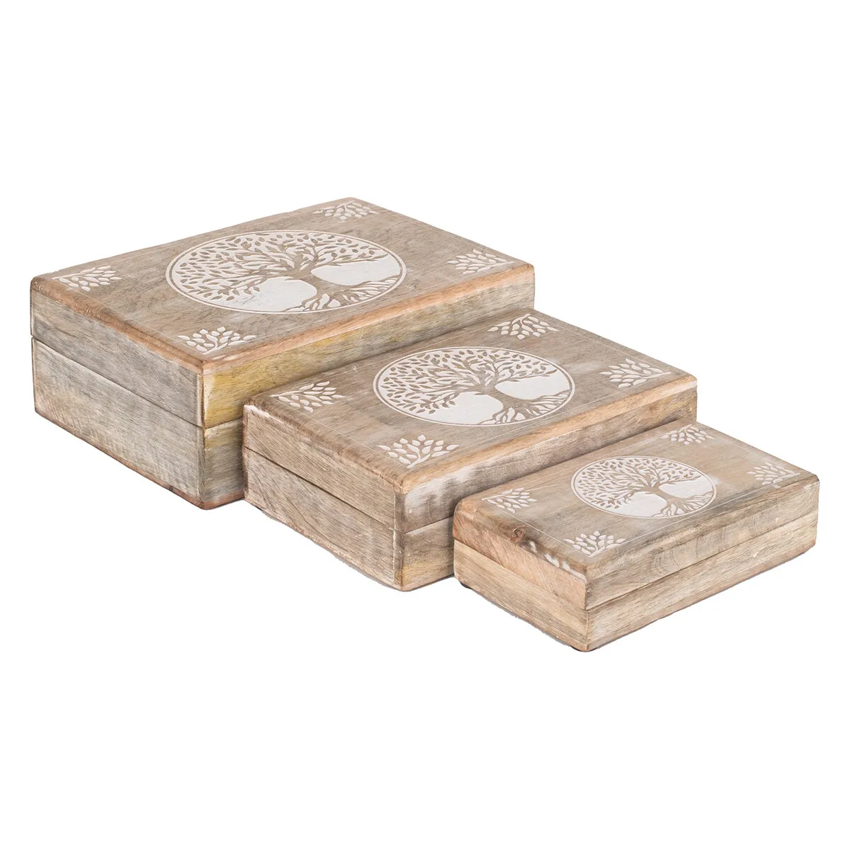 Cajas Árbol Vida 3 Unidades