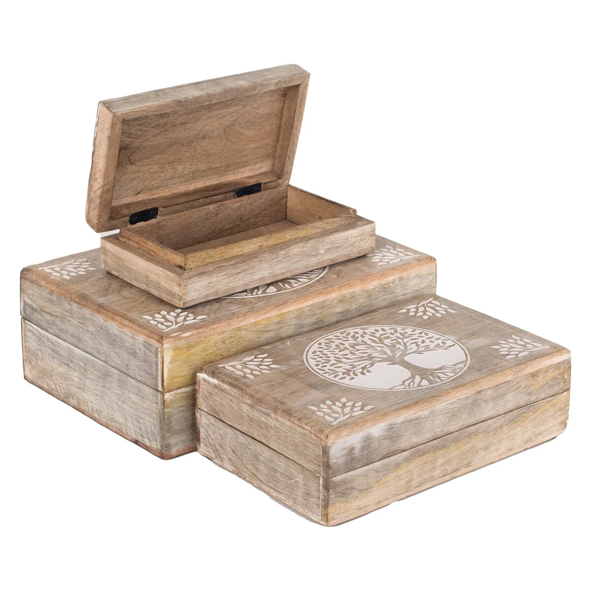 Cajas Árbol Vida 3 Unidades