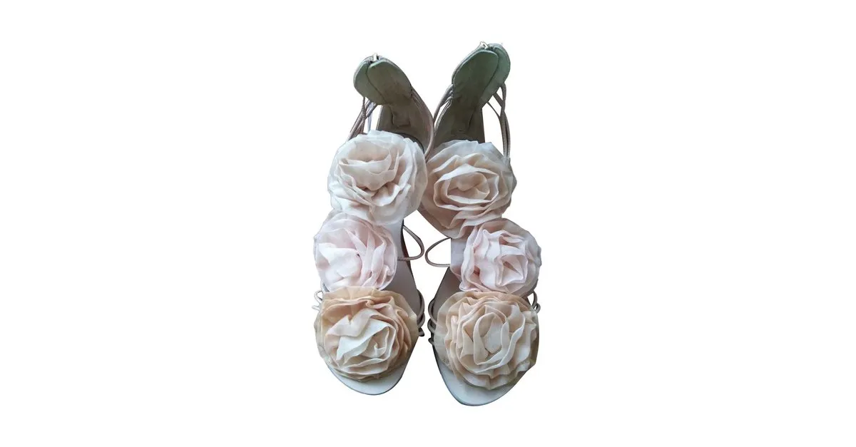 Giuseppe Zanotti las flores Rosa 