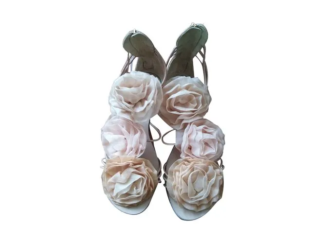 Giuseppe Zanotti las flores Rosa 