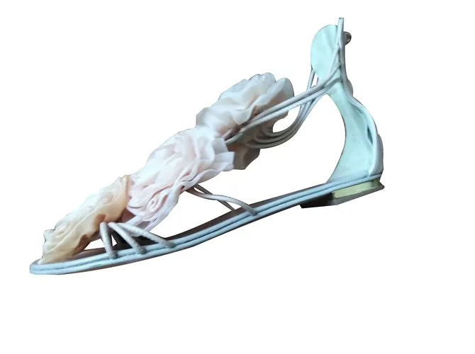 Giuseppe Zanotti las flores Rosa 