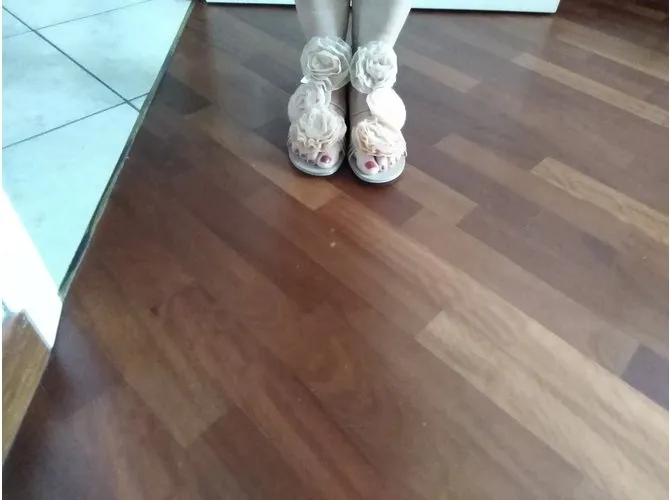Giuseppe Zanotti las flores Rosa 