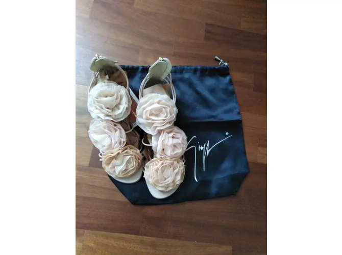 Giuseppe Zanotti las flores Rosa 