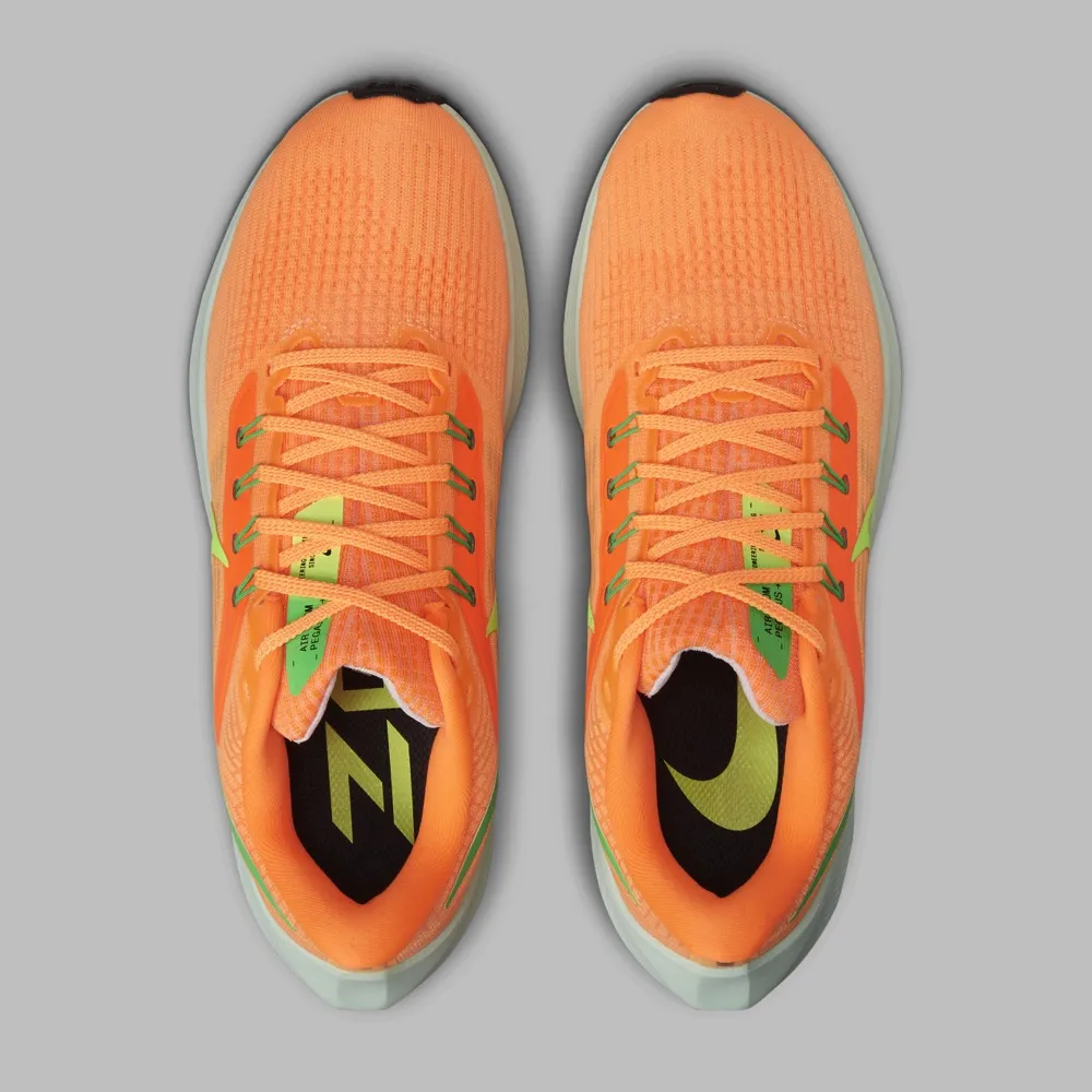 Tenis Nike Pegasus 39 Mujer